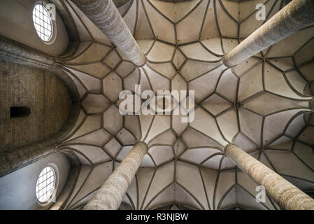 Austria, Salisburgo, Stiftskirche San Pietro Chiesa interno Foto Stock