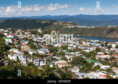 Nuova Zelanda, Isola del nord, Wellington. Vista in elevazione dei sobborghi da Mt. Victoria Foto Stock