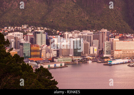 Nuova Zelanda, Isola del nord, Wellington. Elevata dello skyline della città da Mt. Victoria Foto Stock