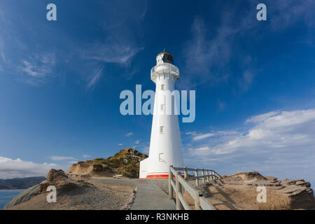 Nuova Zelanda, Isola del nord, Castlepoint. Faro Castlepoint Foto Stock