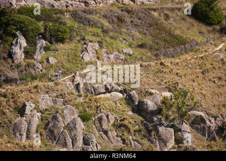 Nuova Zelanda, Isola del Sud, Christchurch, mountain bike sul Pan di Zucchero il picco Foto Stock