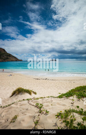 Le Indie occidentali francesi, St-Barthelemy. Anse de Grande spiaggia di soluzione salina Foto Stock