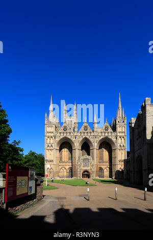 Il fronte ovest facciata della città di Peterborough Cathedral, Cambridgeshire; Inghilterra; Gran Bretagna; Regno Unito Foto Stock