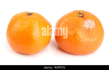 Ammuffiti e buona tangerine isolati su sfondo bianco Foto Stock