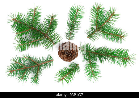 Abete il ramo con i coni isolati su sfondo bianco. Sfondo di natale. Vista superiore Foto Stock