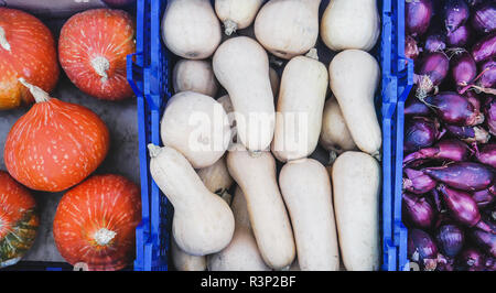 Vista superiore del mercato degli agricoltori bancarella vendendo verdure organiche. Giapponese Hokkaido zucche, zucca, viola le cipolle Foto Stock