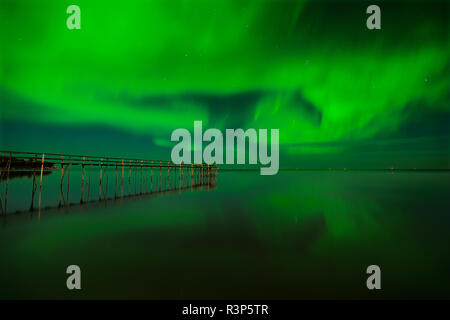 Canada, Manitoba, Winnipeg. Luci del nord si riflette nel Lago Winnipeg. Foto Stock