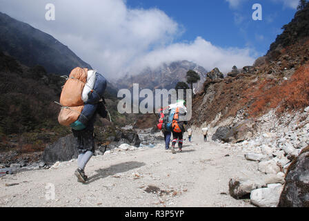 I facchini che trasportano carichi pesanti su un buon sentiero in Nepal Foto Stock