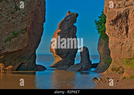 Canada, New Brunswick, Le Rocce Parco Provinciale. Cape Hopewell rocce di sunrise a bassa marea. Foto Stock