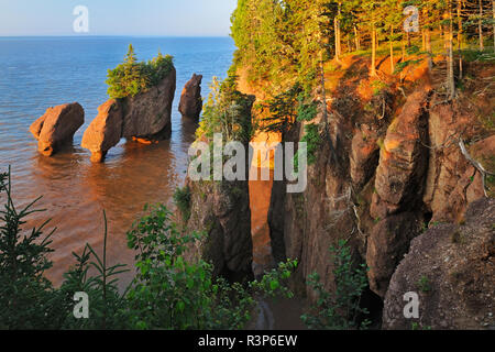 Canada, New Brunswick, Le Rocce Parco Provinciale. Cape Hopewell rocce di sunrise a bassa marea. Foto Stock