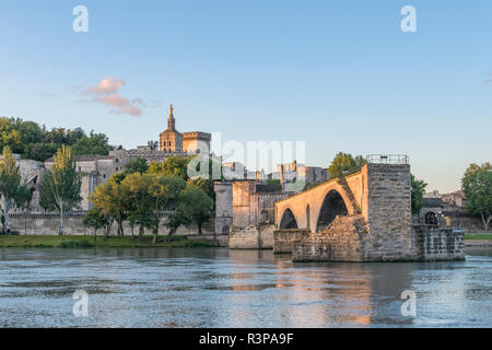 Ponte di Avignone, Avignone, Provenza, Francia Foto Stock