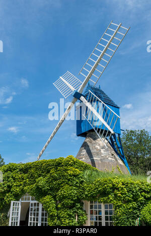 Le Moulin Bleu, Bourgueil, Valle della Loira, in Francia, in Europa Foto Stock
