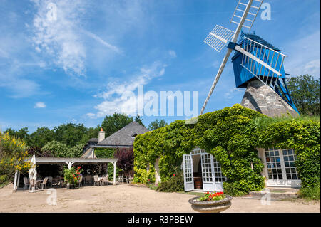 Le Moulin Bleu, Bourgueil, Valle della Loira, Francia Foto Stock