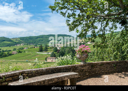 Terrazza, Chateau de, Pierreclos Pierreclos, Maconnaise, Borgogna, in Francia, in Europa Foto Stock