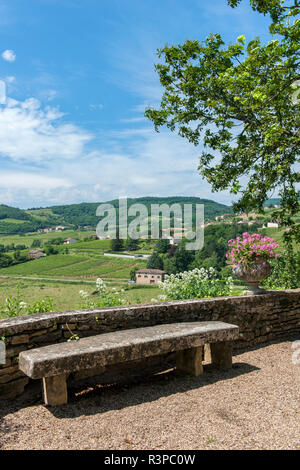 Terrazza, Chateau de, Pierreclos Pierreclos, Maconnaise, Borgogna, in Francia, in Europa Foto Stock