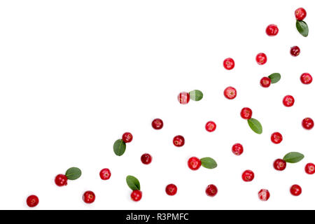 Mirtillo rosso isolato su sfondo bianco closeup con copia spazio per il tuo testo. Vista dall'alto. Piatto modello di laici Foto Stock