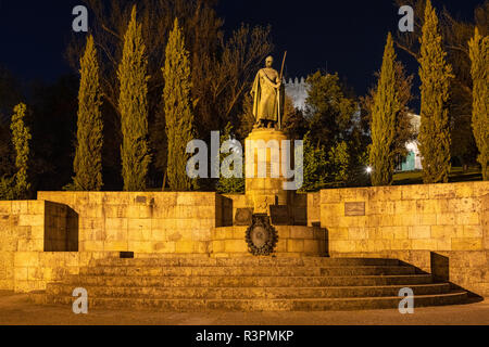 Statua del primo re del Portogallo a notte - Afonso I il grande nella parte storica della città di Guimaraes, Norte regione del Portogallo Foto Stock