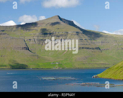 Isola Kalsoy, villaggio di Sydradalur. Isole Faerøer, Danimarca Foto Stock