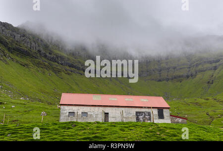 Pecore rifugio sul Kalsoy. Isole Faerøer, Danimarca Foto Stock