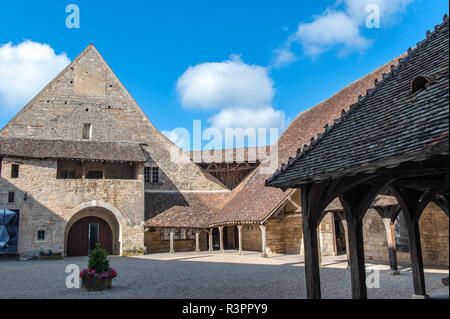 Chateau du Clos de Vougeot, Abbazia cistercense, Clos de Vougeot, Cote d'Or, Borgogna, Francia Foto Stock