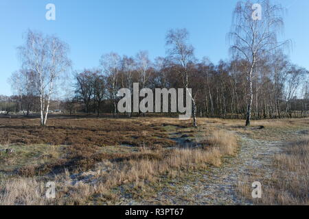 Amburgo,boberg pianura Foto Stock