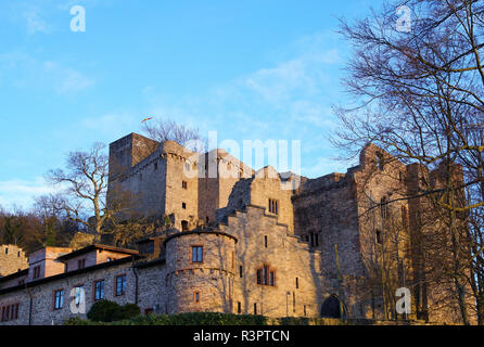 Il vecchio castello di Baden-baden Foto Stock