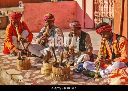 RAJASTHAN JAIPUR INDIA quattro incantatori di serpenti e COBRAS in cestelli Foto Stock