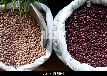 Cesti di fagioli freschi di cargamanto, conosciuti anche come mirtillo di mirtillo, Borlotti o fagioli di Romano in un mercato agricolo in Colombia, Sudamerica Foto Stock