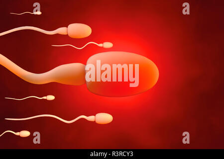Cellule spermatiche nel tentativo di raggiungere la cellula uovo, rendering 3D Foto Stock