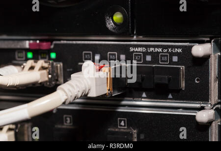 Lan e la connessione in fibra ottica a un server Foto Stock