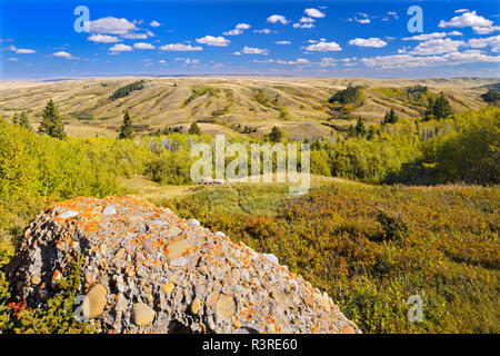 Canada, Saskatchewan, Cypress Hills Parco Provinciale. Paesaggio con roccia conglomerato. Foto Stock