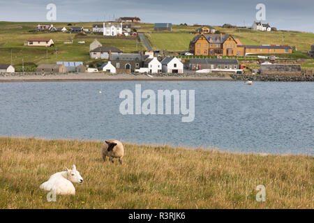 Saint Magnus Bay Hotel, Hillswick Foto Stock