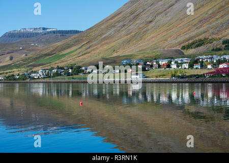 L'Islanda, a ovest di fiordi. Isafjordur, la più grande città in Westfjords con circa tremila persone. Interno del porto di pesca. Foto Stock