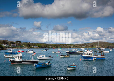 L'Irlanda, nella contea di Cork, testa di Mezzana Penisola, Schull, e vista sul porto Foto Stock