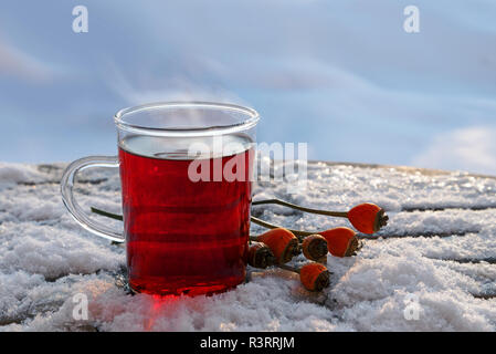 Hot tè rosso da ibisco e frutti di rosa mosqueta all'aperto in inverno la neve, riscaldamento sano bere per immunità protezione contro il raffreddore e influenza in c Foto Stock