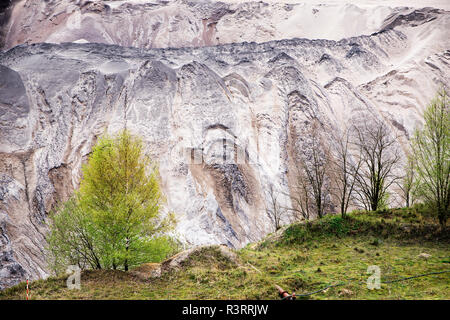 I giovani di betulle sul bordo della buca da lignite (carbone marrone) miniere a cielo aperto con distrutto dello strato di terreno e frane, un significativo interven Foto Stock