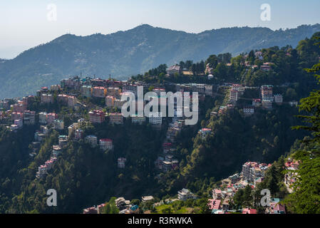 Una vista di case in precario equilibrio punteggiato intorno alla collina intorno al Vescovo Scuola di cotone in Shimla, Himachal Pradesh, India Foto Stock