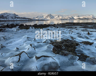 Paesaggio con alghe marine in prossimità di Leknes, isola Vestvagoy. Le isole Lofoten in Norvegia settentrionale durante l'inverno. La Scandinavia, Norvegia Foto Stock