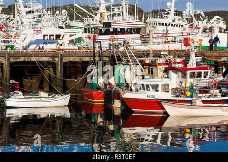 Irlanda, County Donegal, Killybegs, Irlanda il più grande porto di pesca e della flotta di pesca Foto Stock