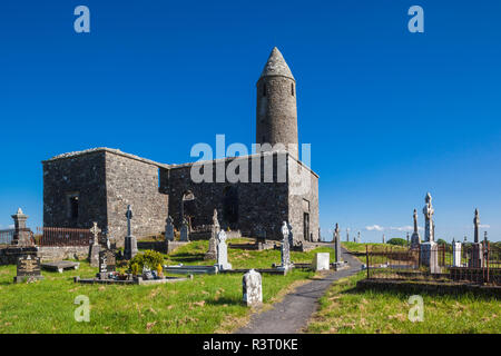 L'Irlanda, nella contea di Mayo, Castlebar, Turlough Round Tower, IX secolo Foto Stock