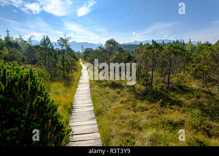 In Germania, in Baviera, Murnauer Moos, tavolato in legno percorso Foto Stock