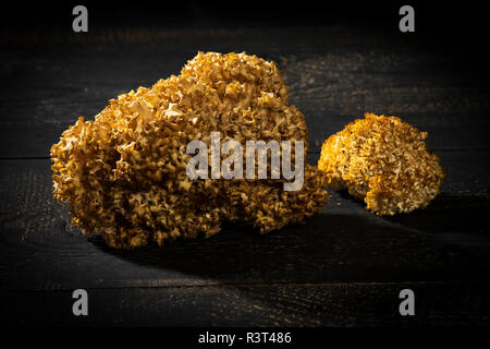 Il cavolfiore funghi su legno scuro Foto Stock