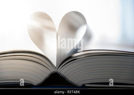 Fogli di libro aperto cuore edificio, close-up Foto Stock