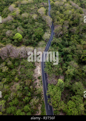 Indonesia, Bali, vista aerea di strada e foresta Foto Stock