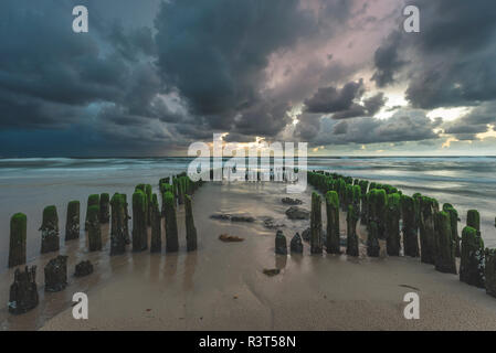 Germania, Schleswig-Holstein, Sylt, Rantum, pennelli su West Beach Foto Stock