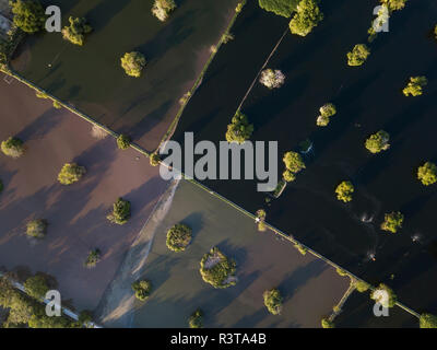 Indonesia, Bali, vista aerea di mangrovie in acqua Foto Stock