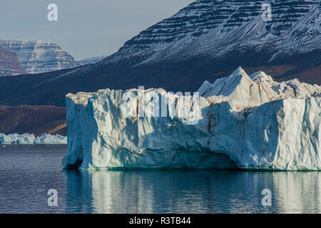 La Groenlandia. Scoresby Sund. Gasefjord. Iceberg e montagne innevate Foto Stock