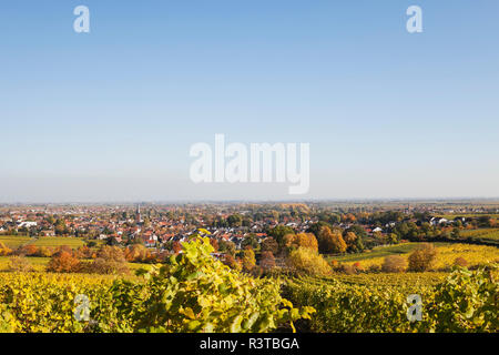 La germania,Renania-Palatinato, Pfalz, Deidesheim, Itinerario dei vini tedeschi, vigneti in autunno colori, Ludwigshafen a distanza Foto Stock