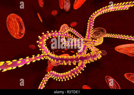 3D reso illustrazione di un virus Ebola nel flusso di sangue circondata da cellule degli eritrociti Foto Stock