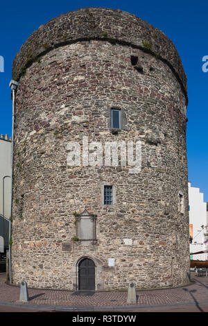 L'Irlanda, nella contea di Waterford, Waterford City, Torre di Reginald, il più antico edificio completo in Irlanda Foto Stock